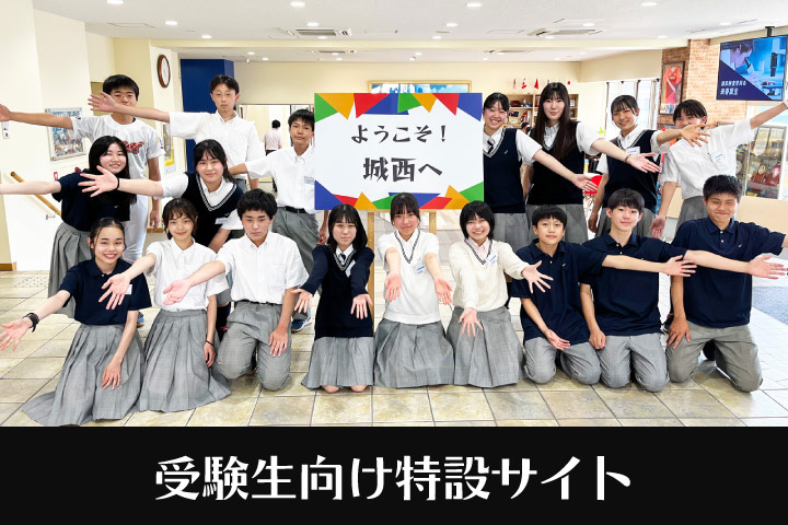 受験生向け特設サイト
