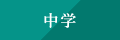 中学