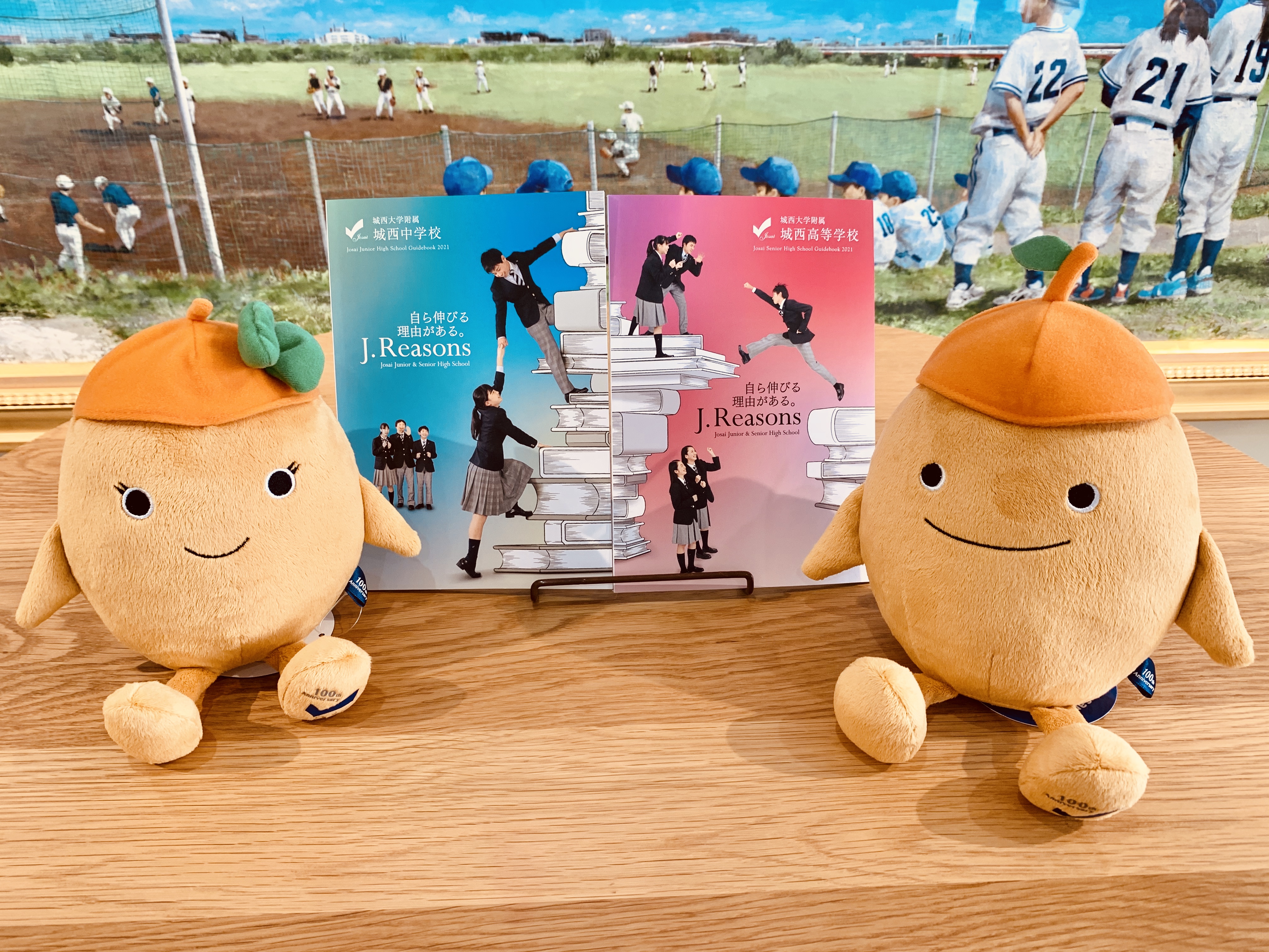 今年度の学校パンフレットができました!